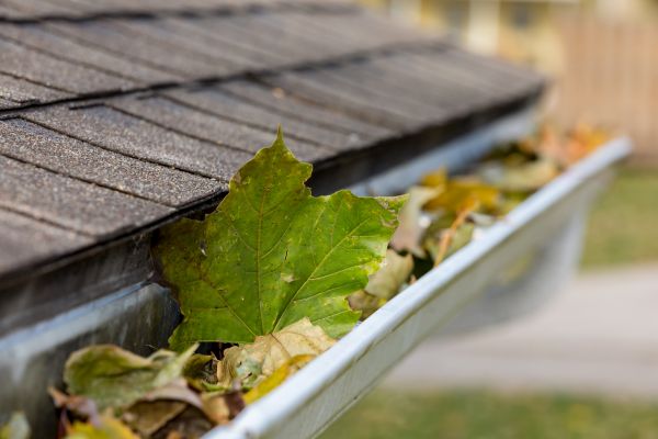 Commercial Downspout Cleaning in Turlock