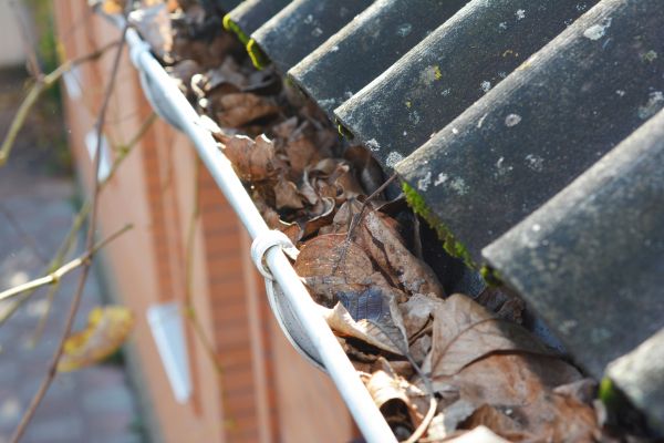 Home Gutter Cleaning in Turlock