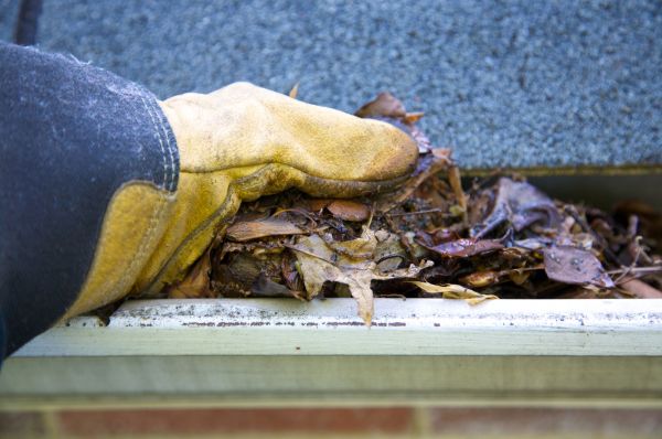 Cost of Jammed Gutter Cleaning in Turlock
