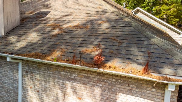 Cost of Gutter Pine Needle Removal in Turlock